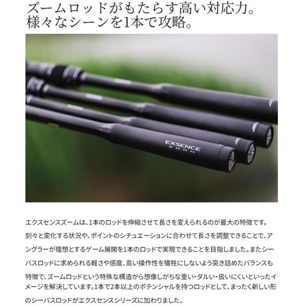 22 エクスセンス ズーム